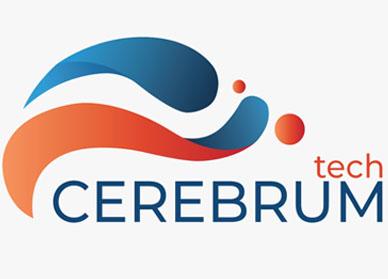 CEREBRUM